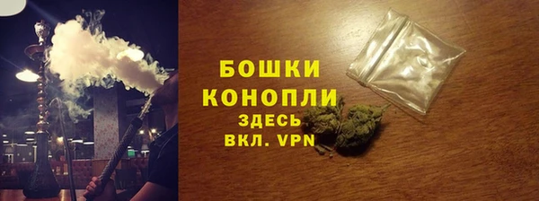 прущие грибы Навашино