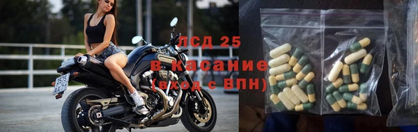 прущие грибы Навашино