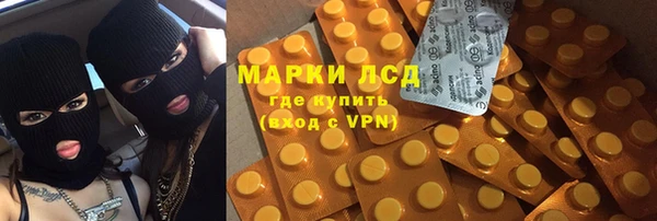 прущие грибы Навашино