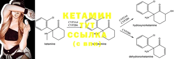 прущие грибы Навашино