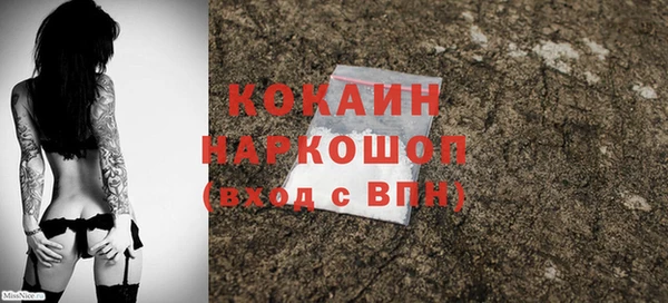 прущие грибы Навашино