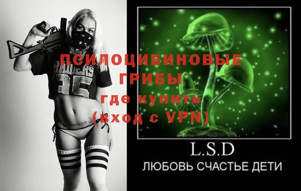 spice Тихвин
