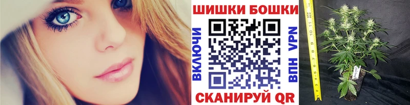Шишки марихуана SATIVA & INDICA  mega   Городище 